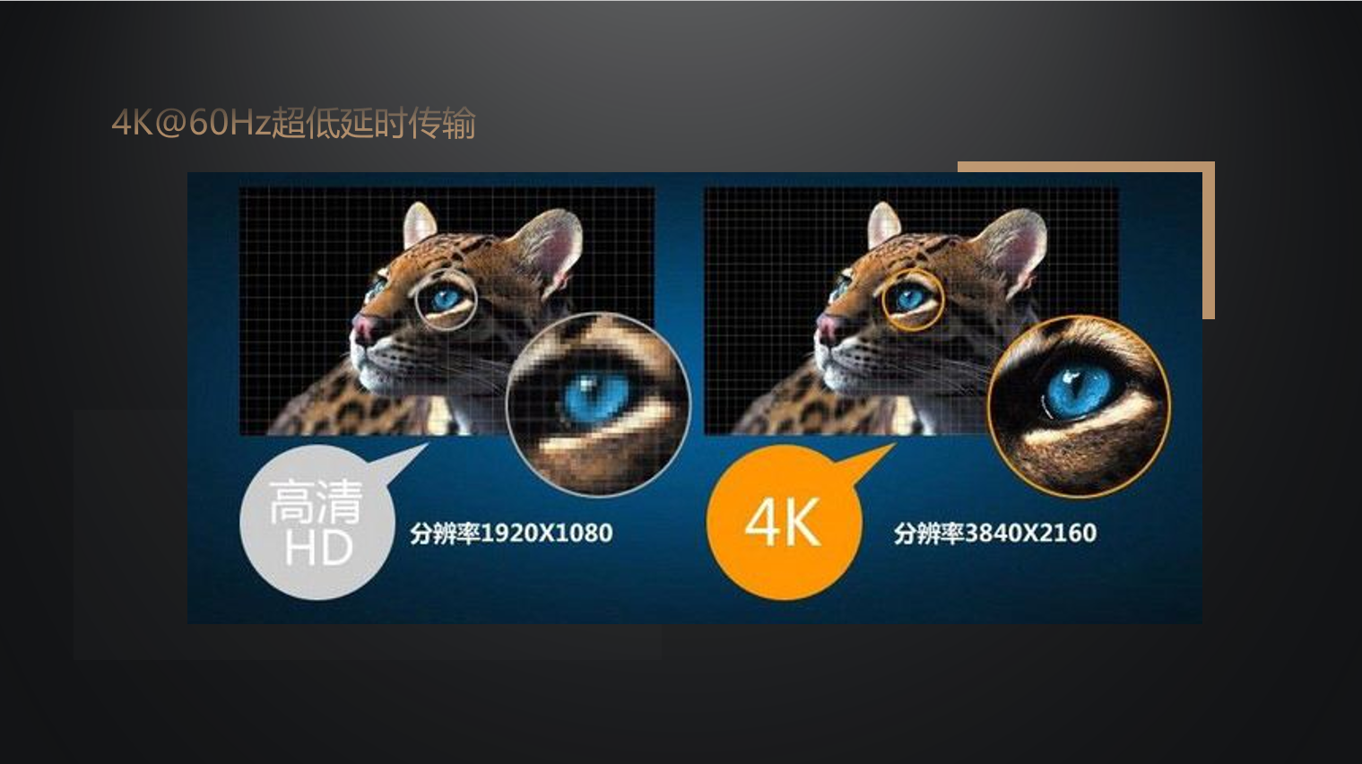 1629421262376097.png 圖片7.png